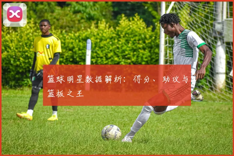 篮球明星数据解析：得分、助攻与篮板之王